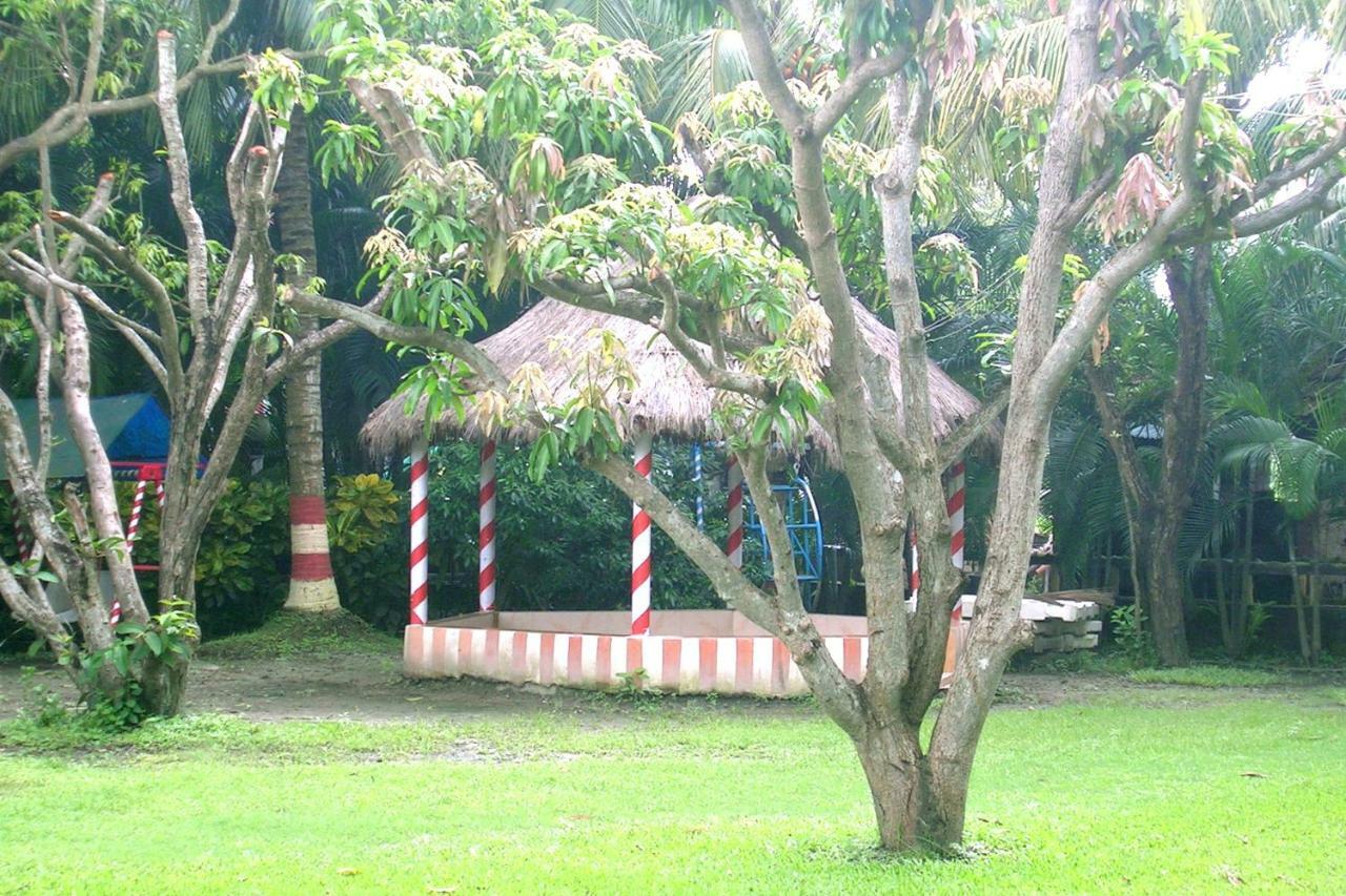 Palm Village Resort Calcutta Extérieur photo